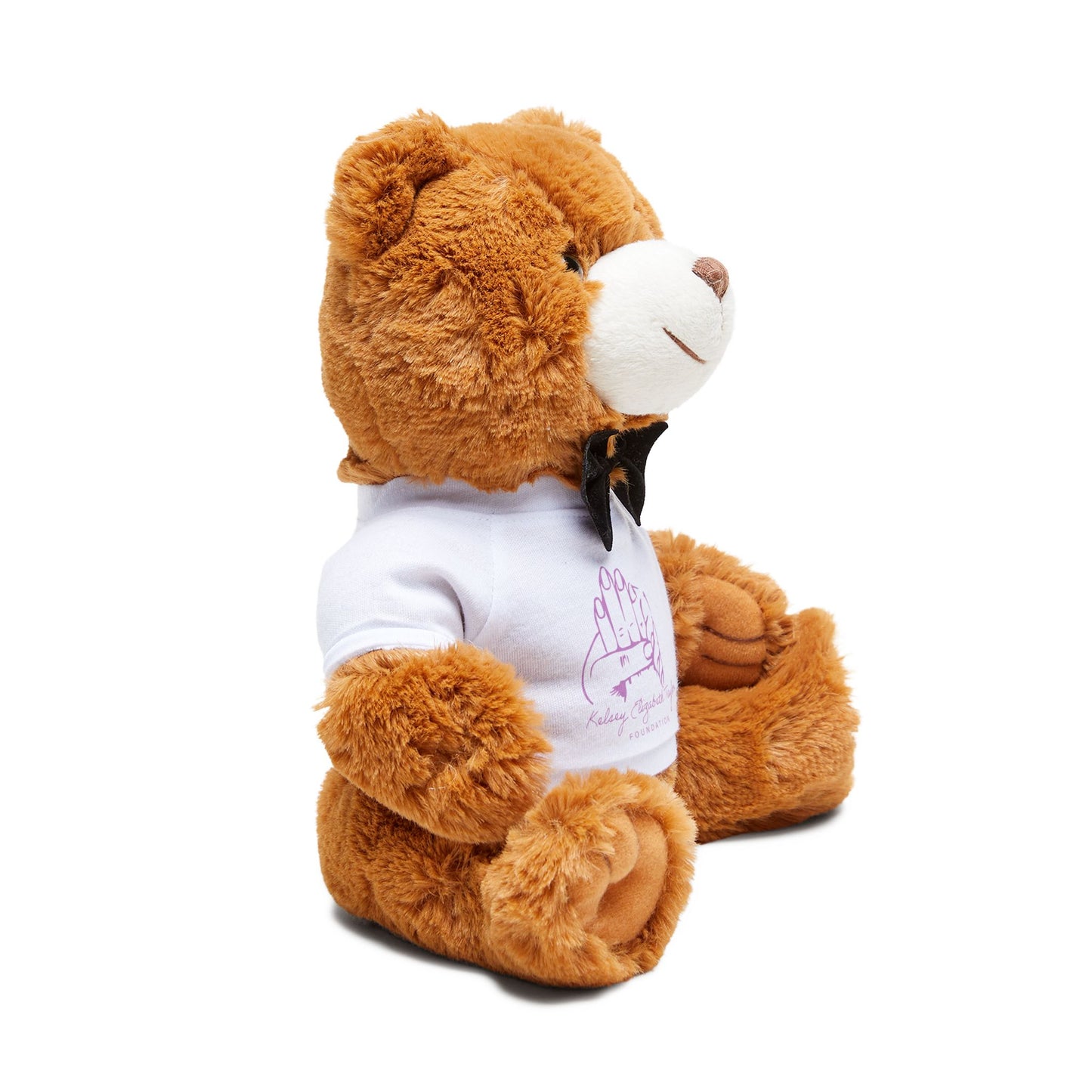 Teddy Bear with T-Shirt